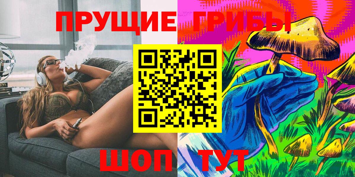 Галлюциногенные грибы Psilocybe Пенза